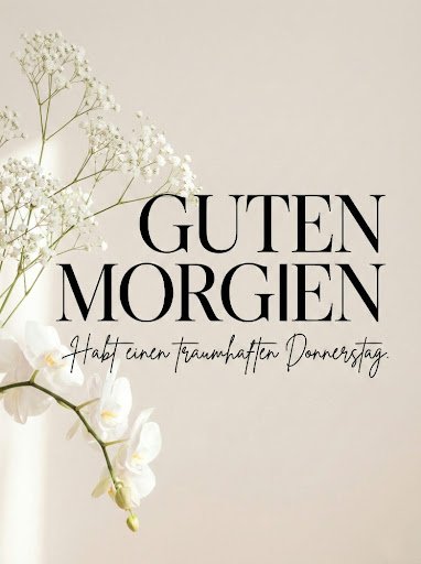 Elegante weiße Orchideenblüten auf hellem Hintergrund als stilvoller Guten Morgen Donnerstag Gruß