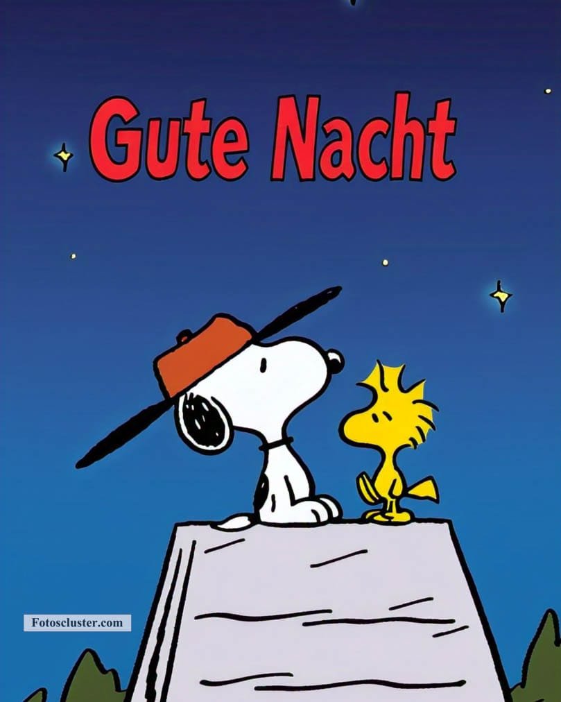 bilder snoopy gute nacht​