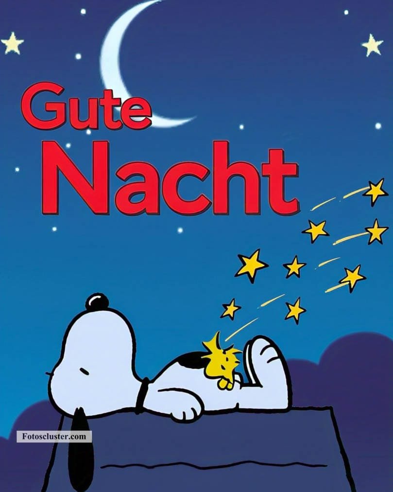 gif snoopy gute nacht​