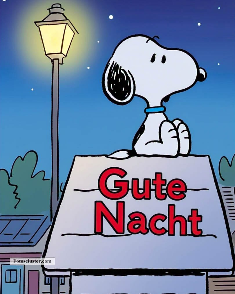 gute nacht bilder mit snoopy​