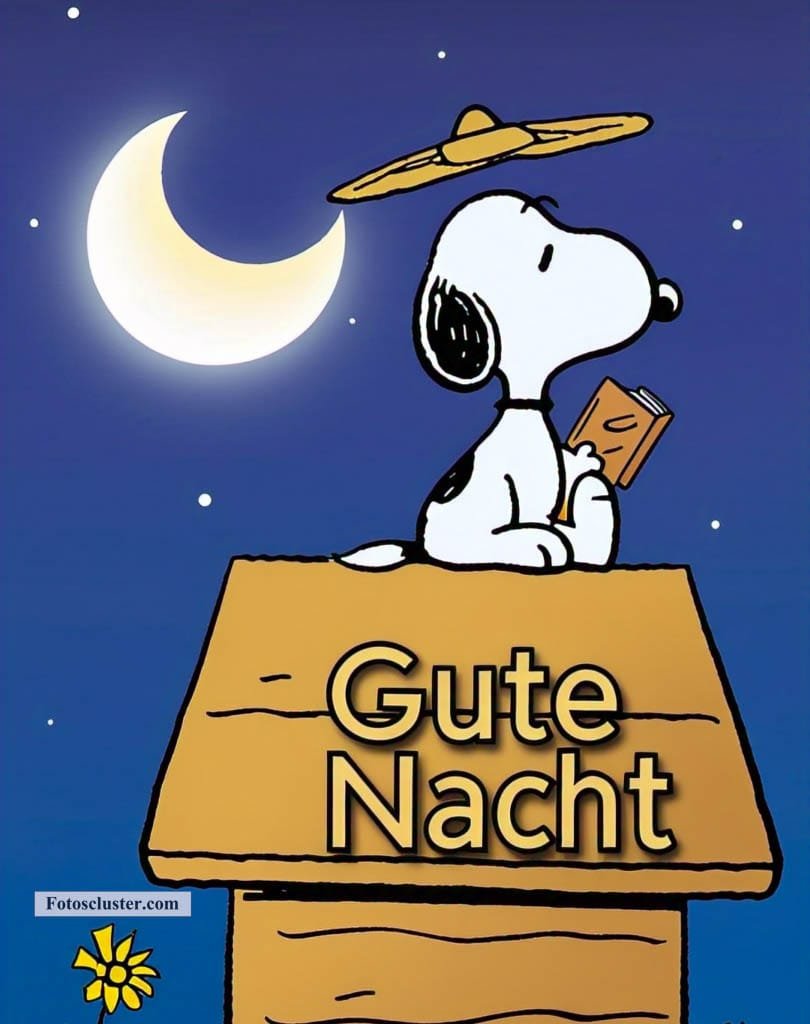 gute nacht bilder snoopy kostenlos​