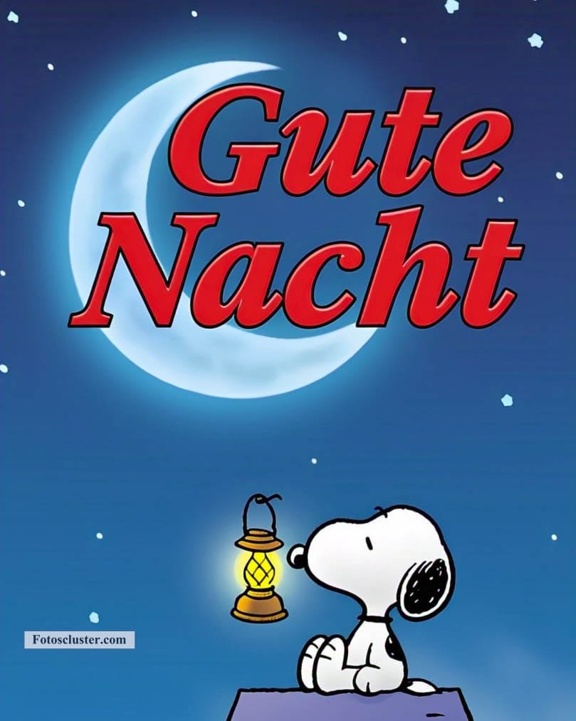 gute nacht mit snoopy​