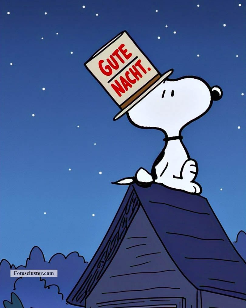 gute nacht snoopy gif​