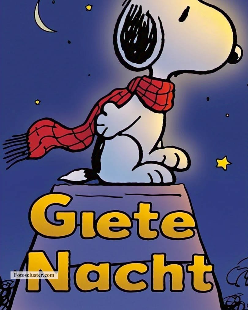 gute nacht snoopy und woodstock​
