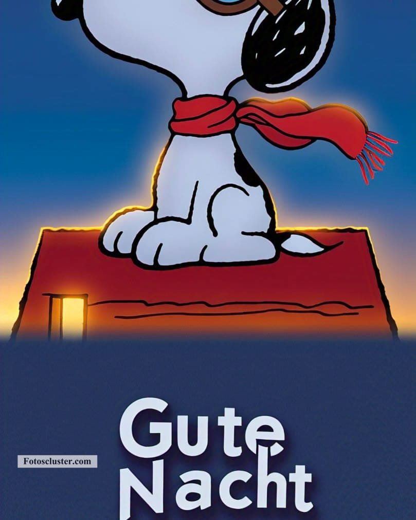 gute nacht sprüche snoopy​