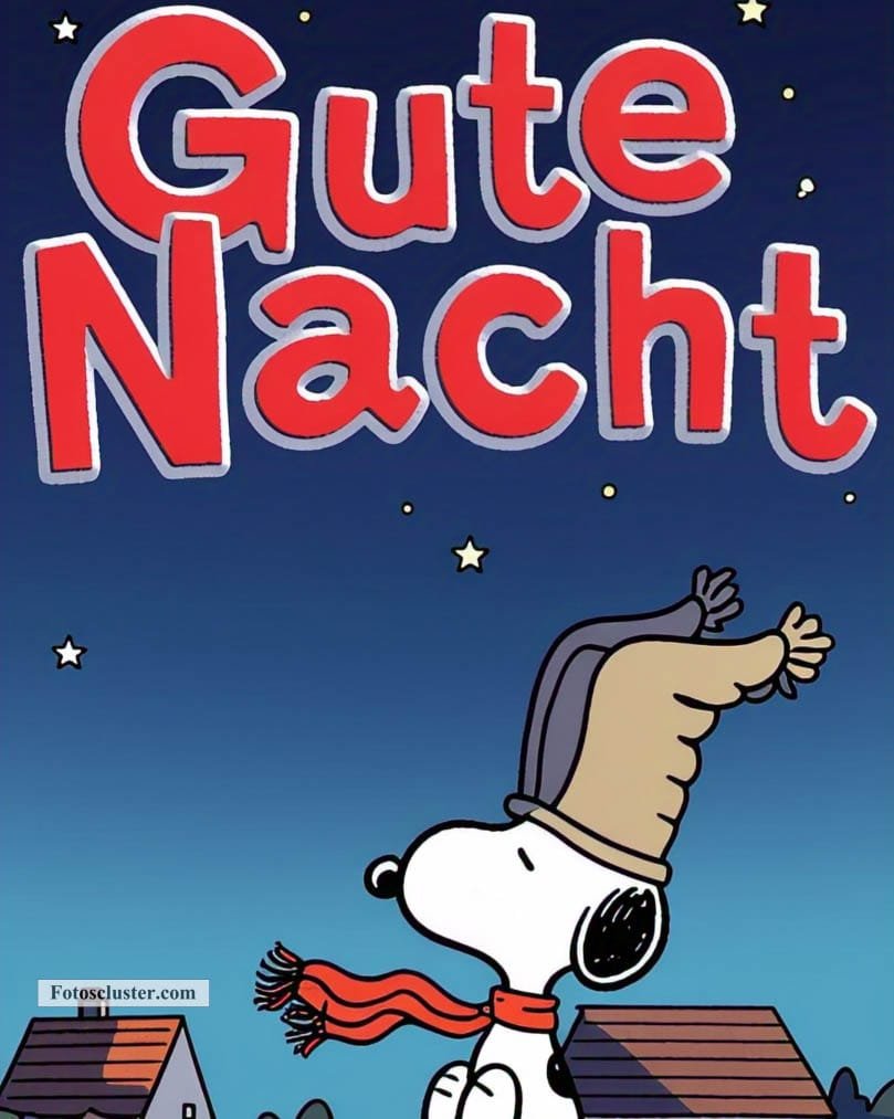 gute nacht umarmung snoopy bilder​