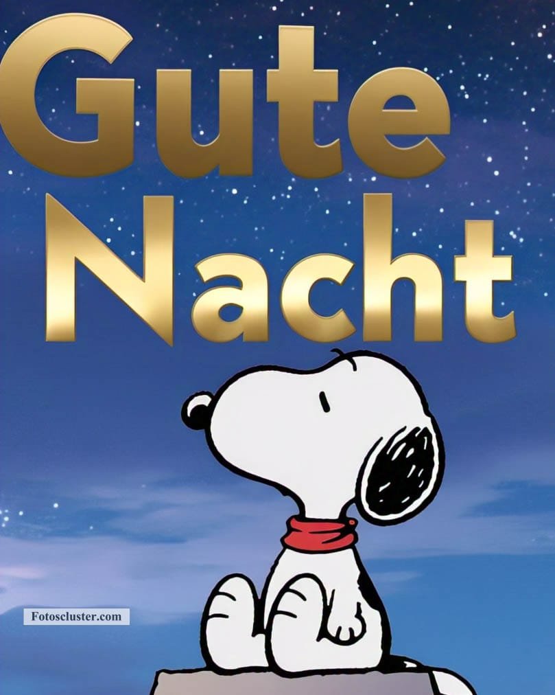 guten morgen snoopy gute nacht​