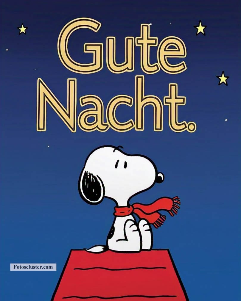 guten nacht snoopy​