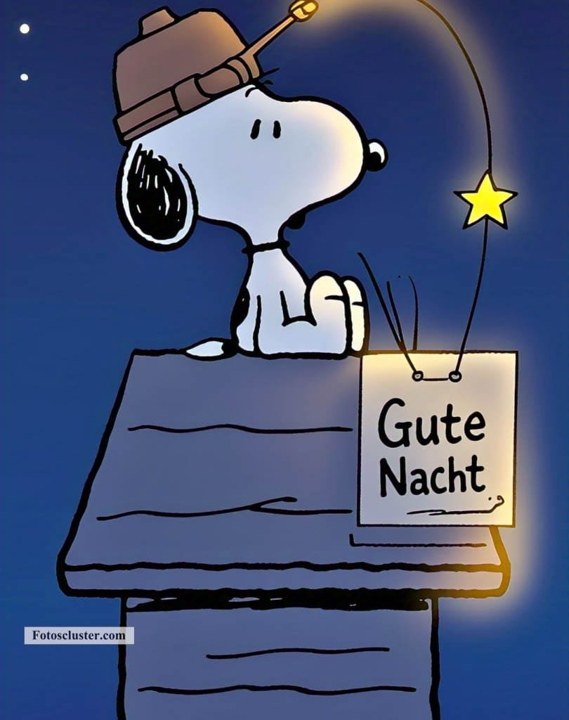 schönen abend und gute nacht snoopy​