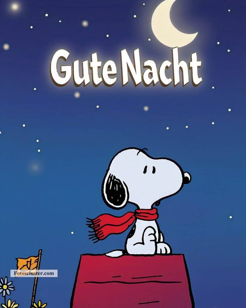 snoopy gif gute nacht​