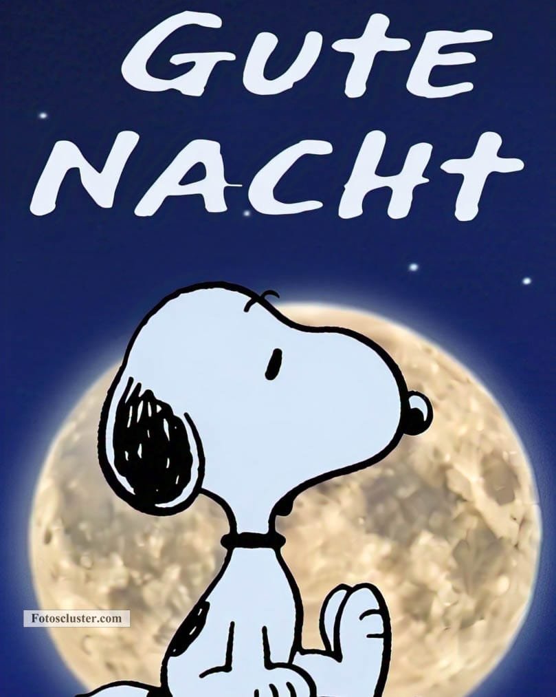 snoopy sagt gute nacht​