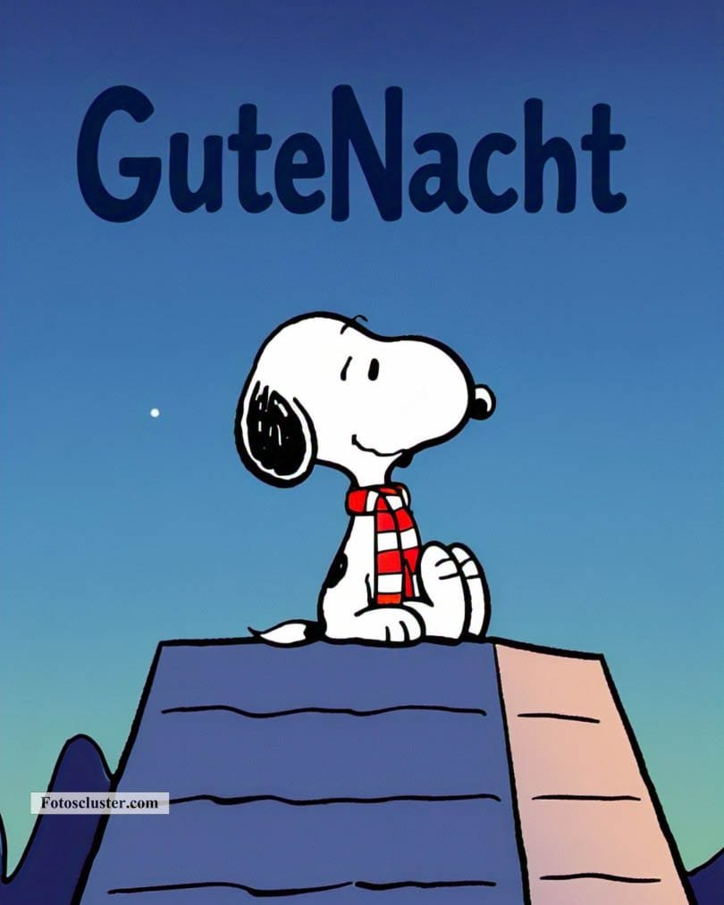 snoopy wünscht gute nacht​